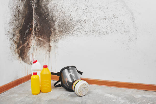 Best Post-Remediation Services in Keeler Farm, NM