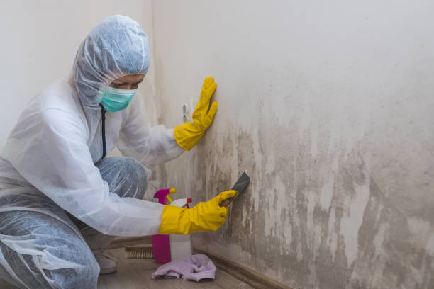 Best Mold Testing and Inspection Services in Keeler Farm, NM
