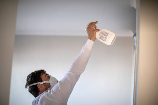 Best Preventive Mold Services in Keeler Farm, NM