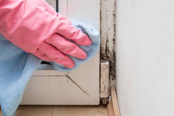 Keeler Farm, NM Mold Remediation Company